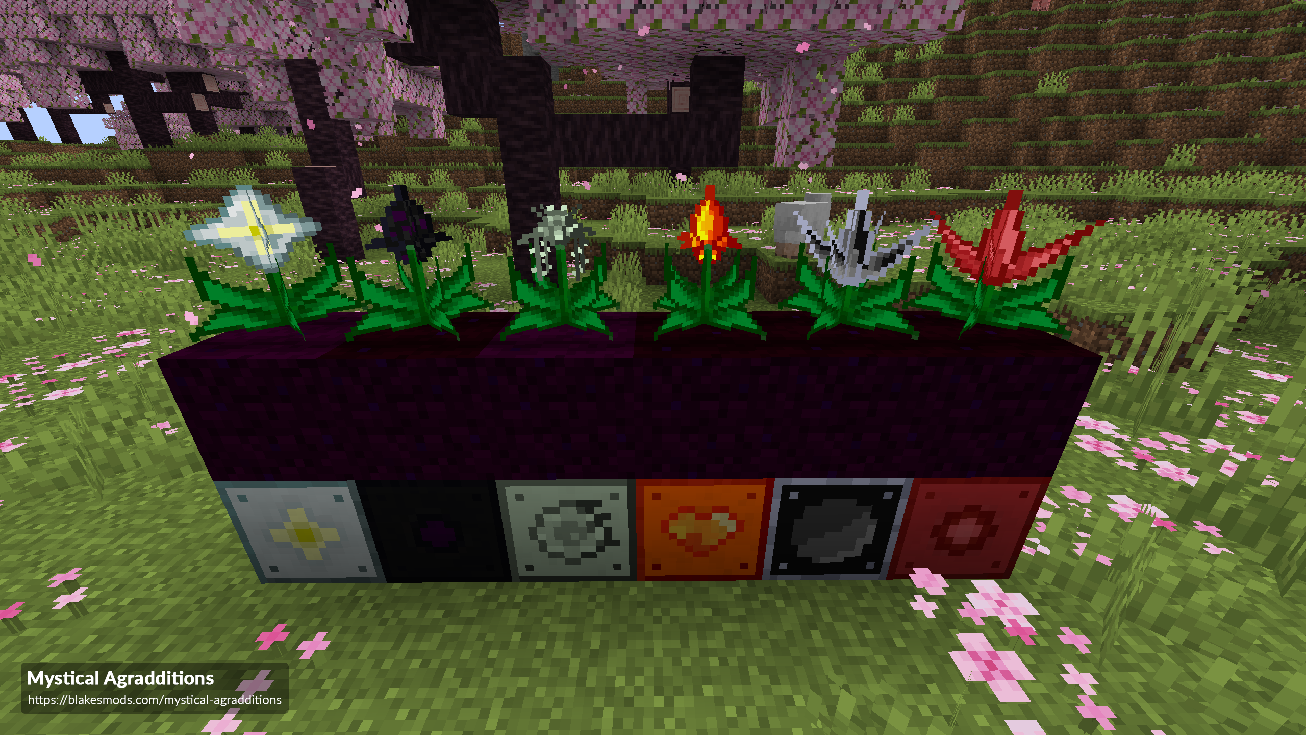 Mystical Automation hero image